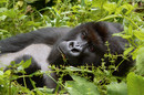 Rwanda