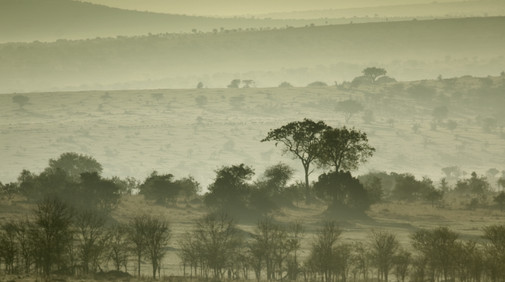 Serengetis nationalpark