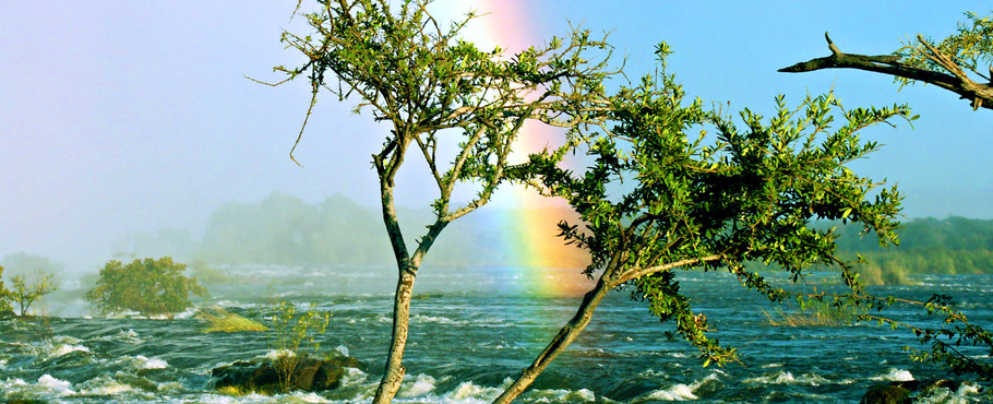 Zambia