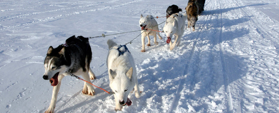 Svalbard