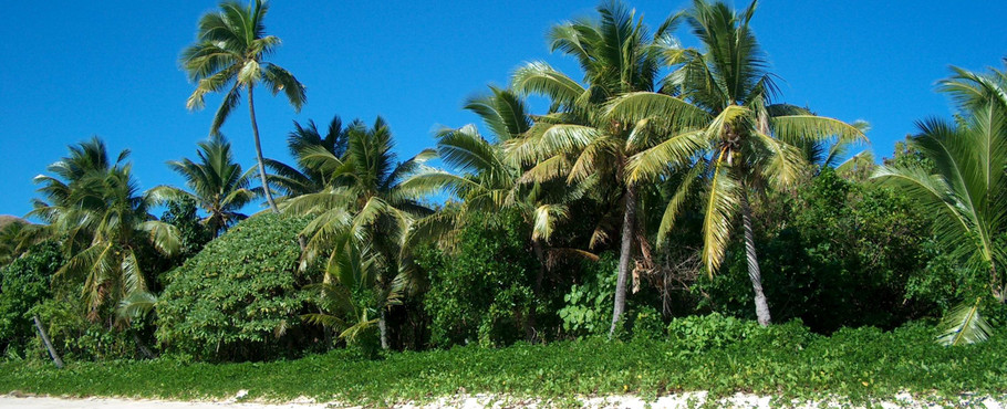 Fiji