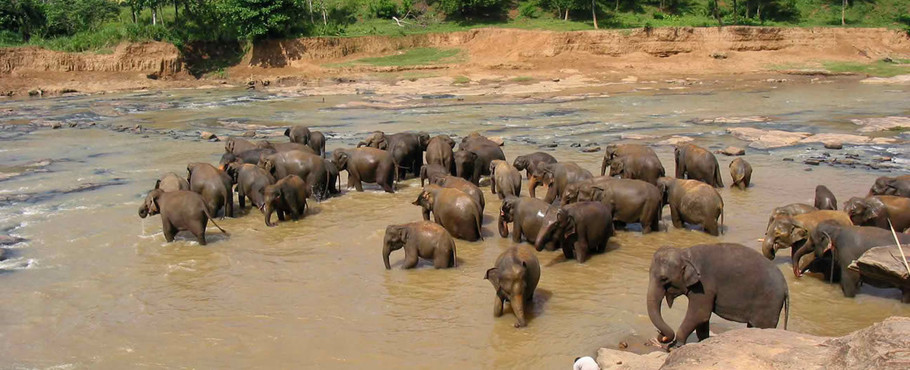 Sri Lanka
