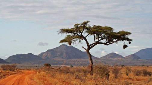 �stra och V�stra Tsavo Nationalparker