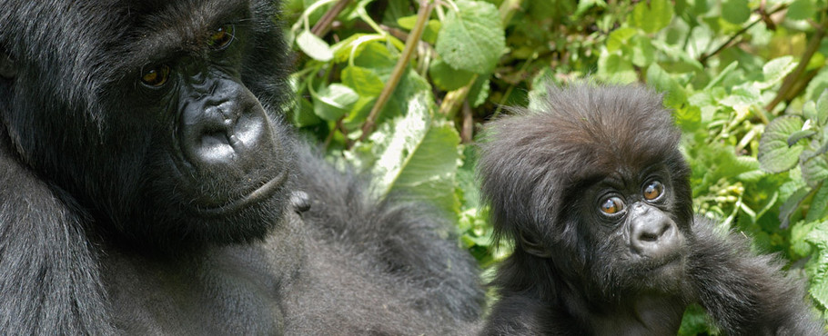 Rwanda