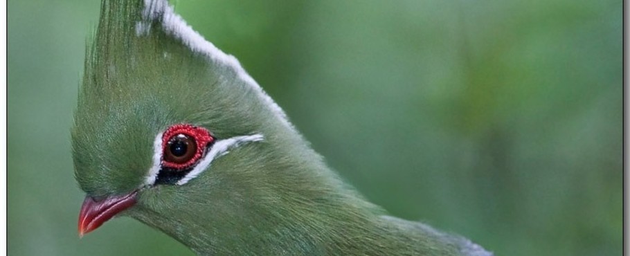Malawi