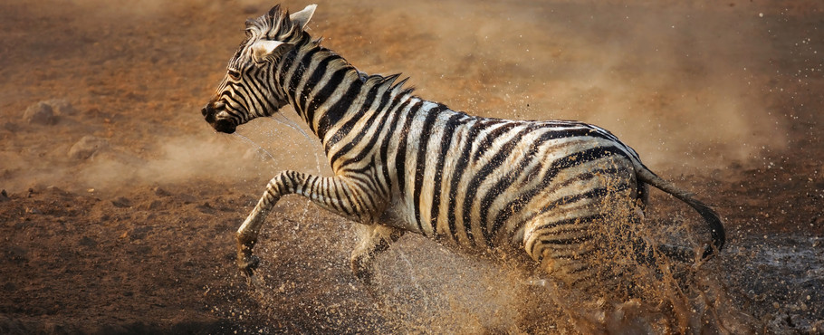 Namibia