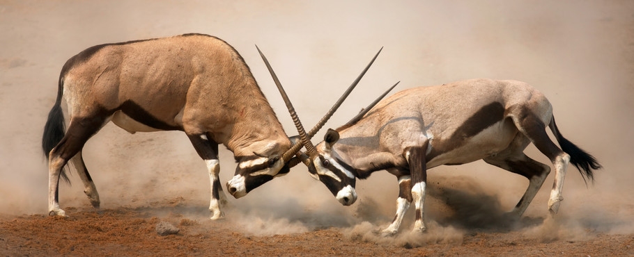 Namibia