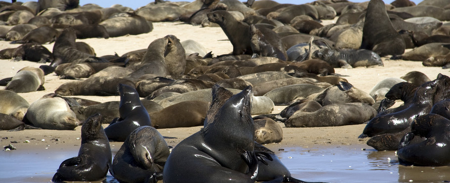 Namibia