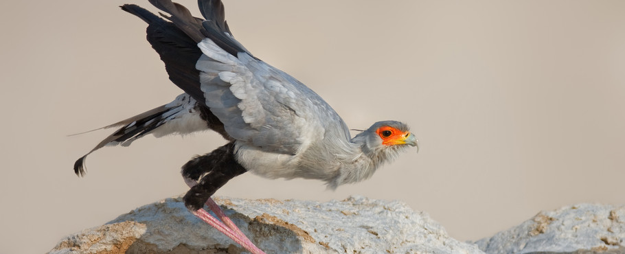 Namibia