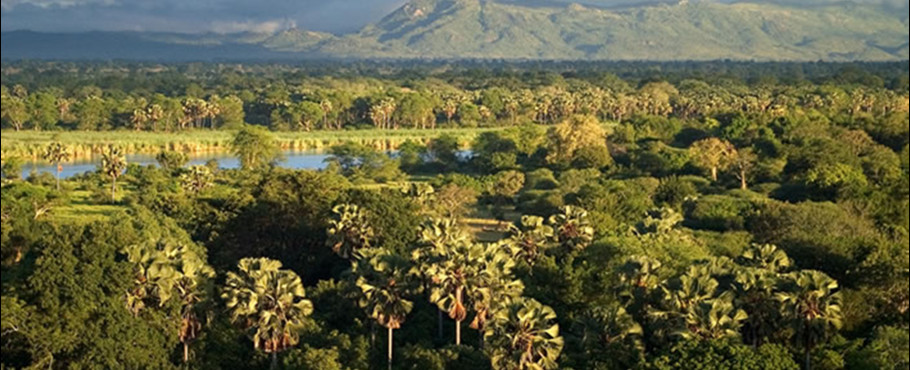 Malawi