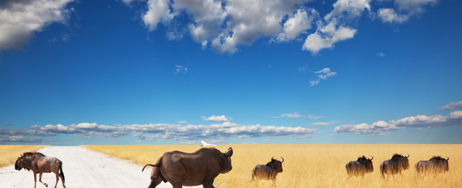 Namibia