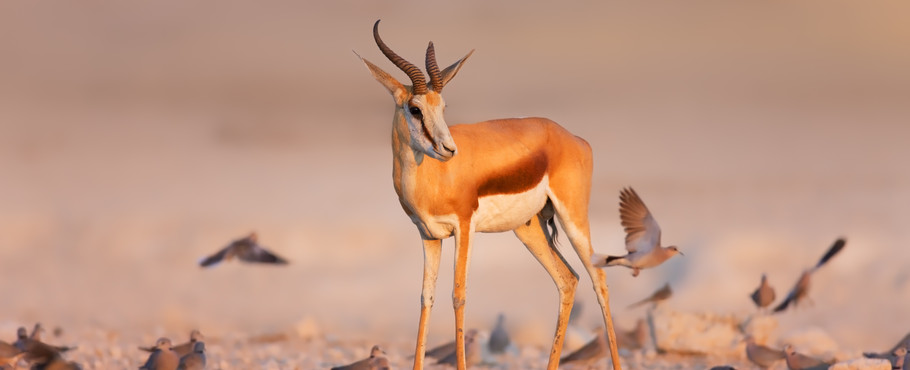 Namibia