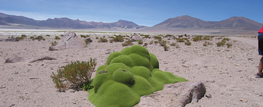 Chile