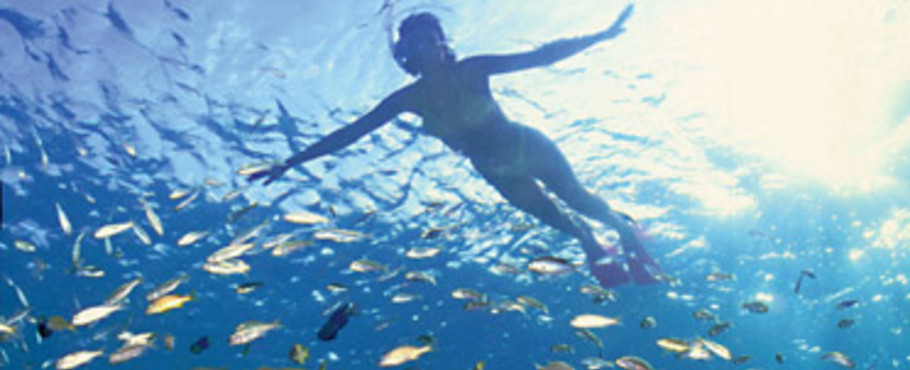 Bonaire och Cura�ao