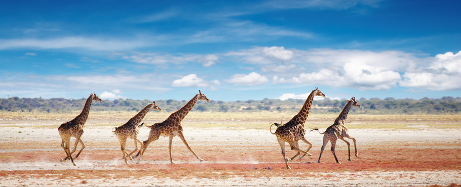 Namibia