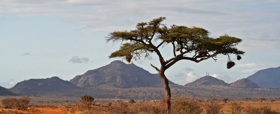 Kenya