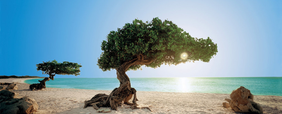 Aruba