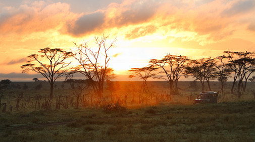 Serengetis nationalpark