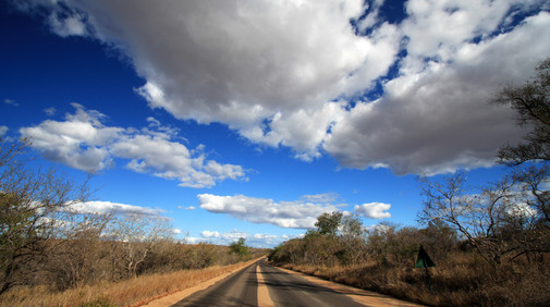 Kruger Nationalpark