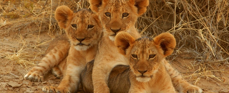 Kenya