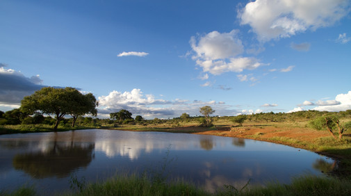 Kruger Nationalpark