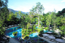 Resor till Langkawi, Malaysia