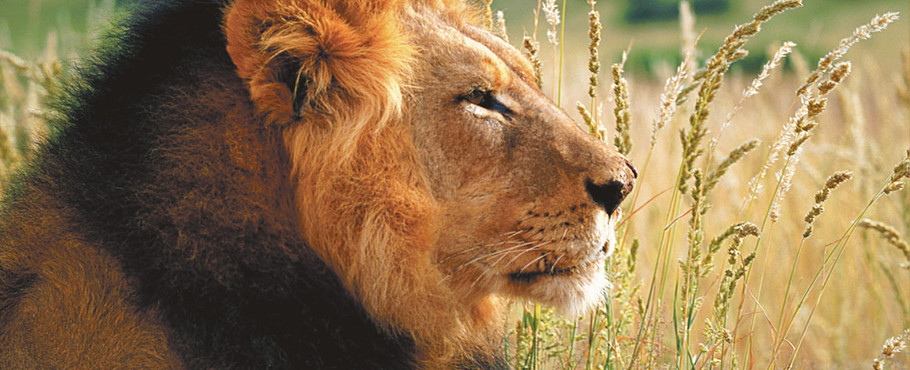 Kenya