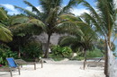 Resor till Zanzibar, Tanzania