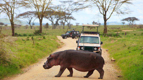 Serengetis nationalpark