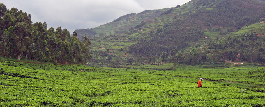 Rwanda
