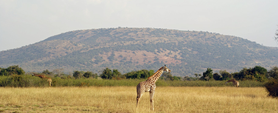 Rwanda
