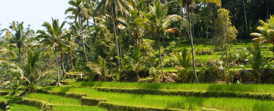 Bali, Indonesien