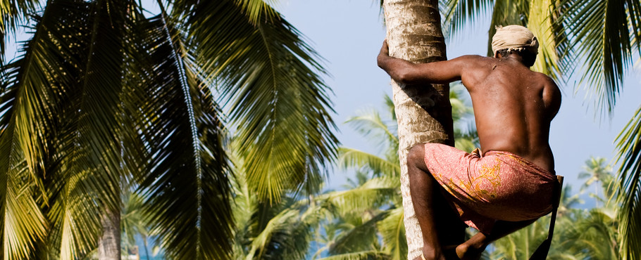 Resor till Kerala, Indien