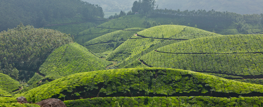 Resor till Kerala, Indien