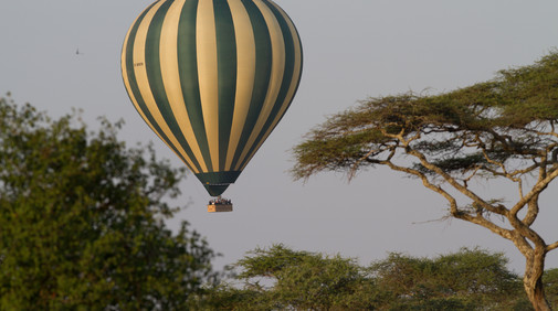 Ballongsafari i Serengeti