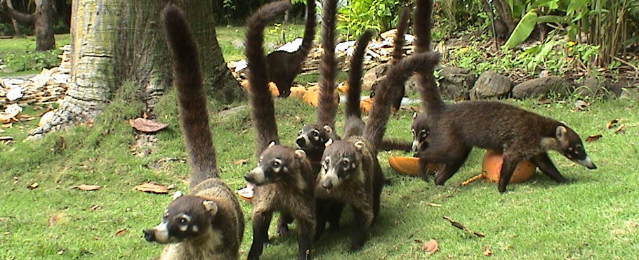 Costa Rica
