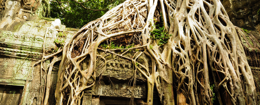 Kambodja
