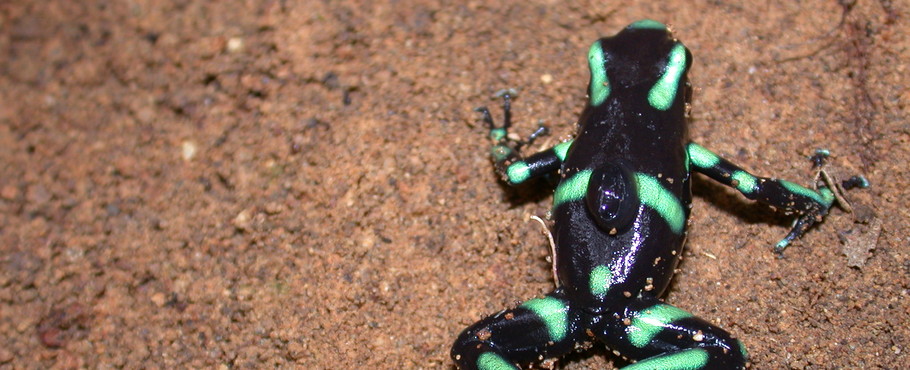 Costa Rica