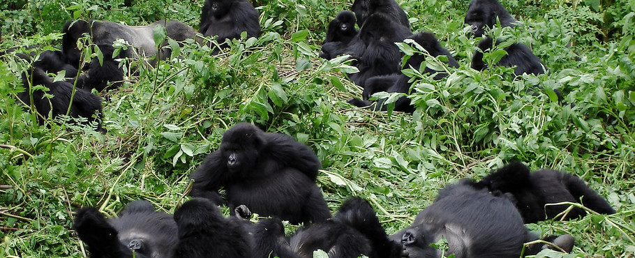 Uganda
