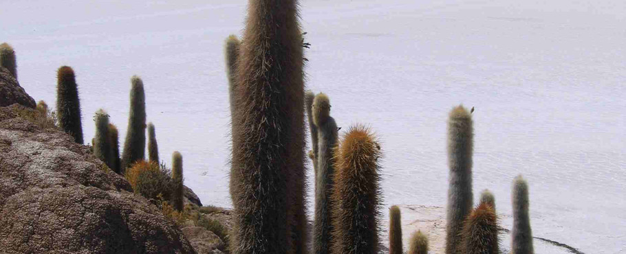 Bolivia