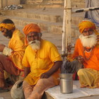 Klassiske India med tigersafari