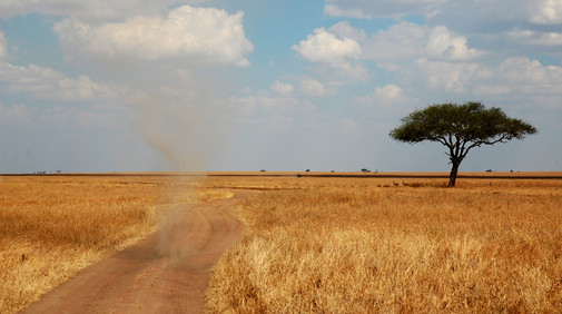 Serengetis nationalpark