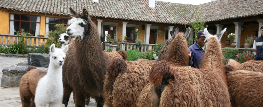 Ecuador