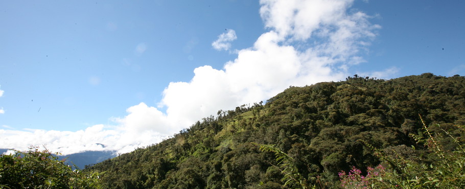 Ecuador