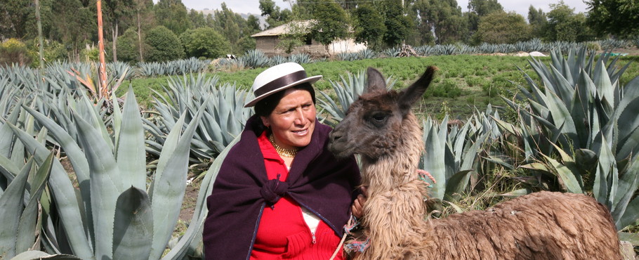 Ecuador