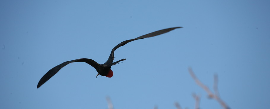Ecuador