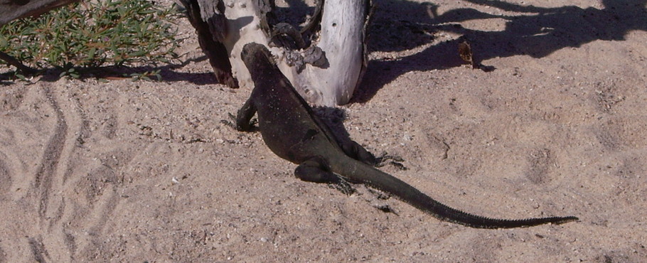 Ecuador