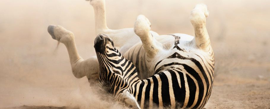 Namibia