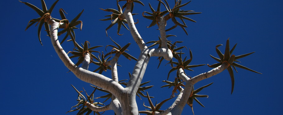 Namibia
